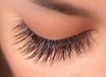 lashes